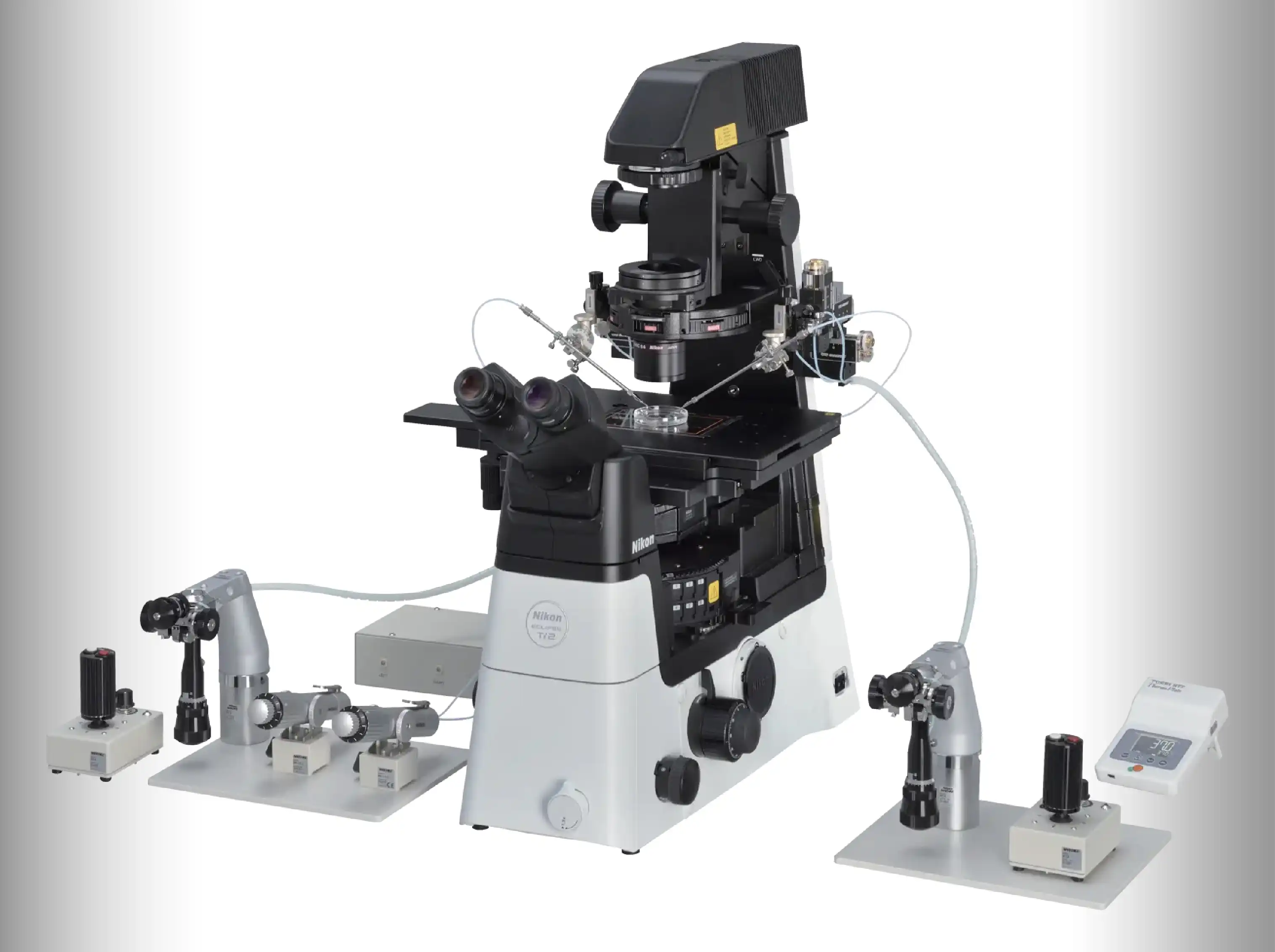 In Vitro Fertilization (IVF) | Jordan